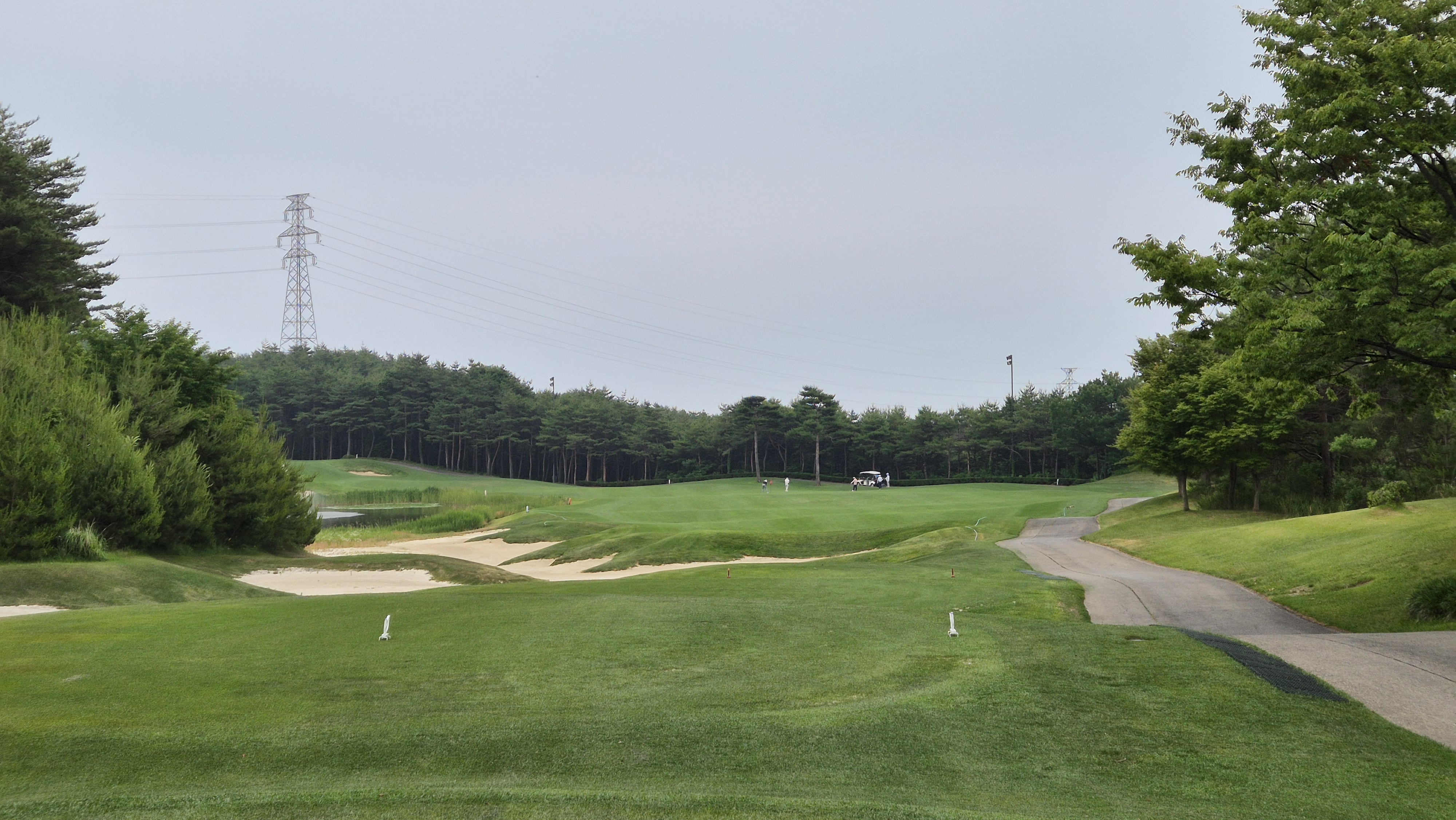 파인리즈cc 후기 및 코스사진