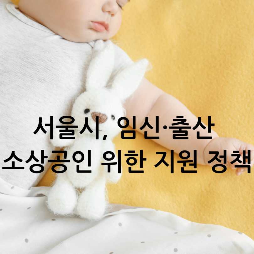 서울시 임신,출산 소상공인지원정책