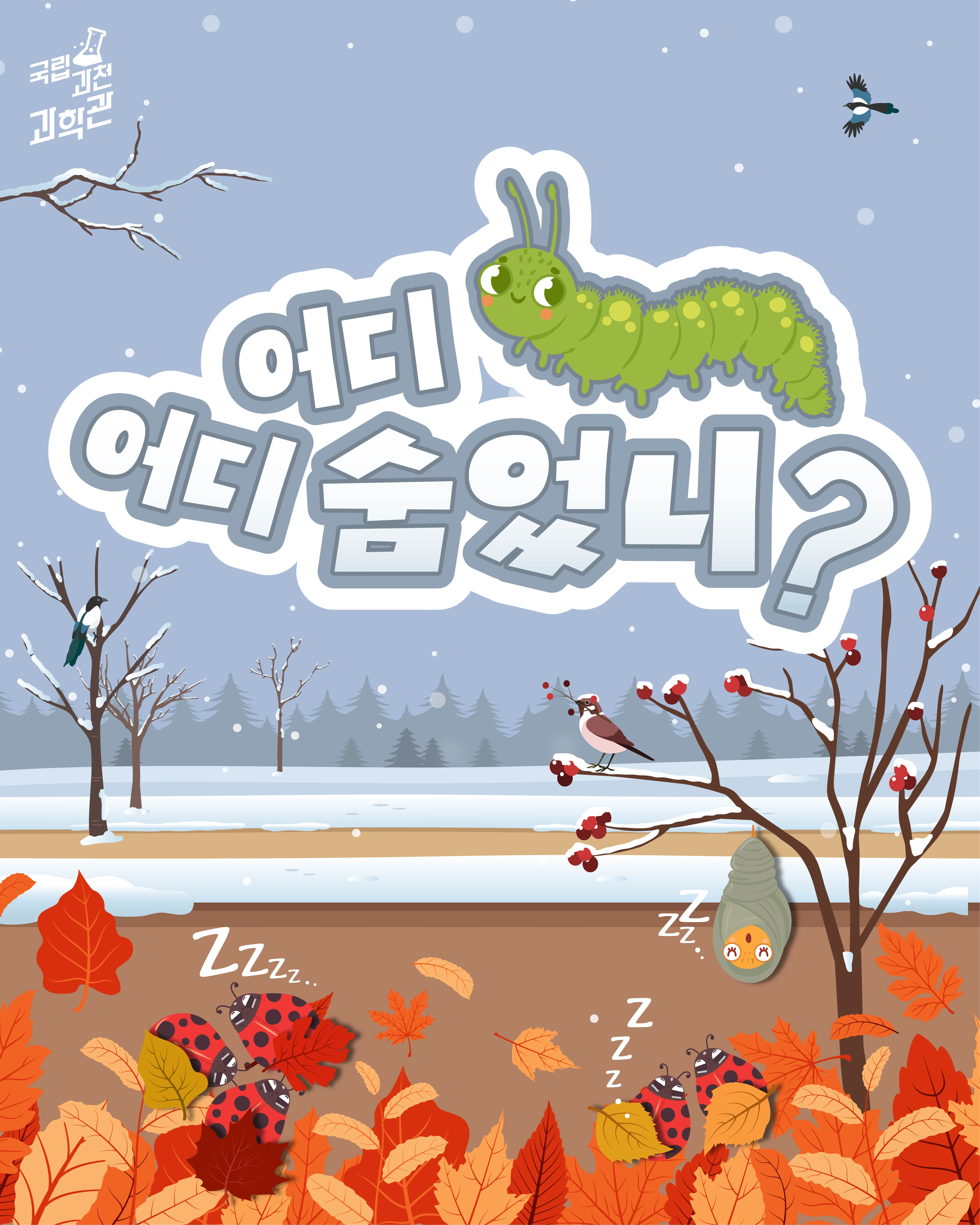 국립 관천 과학관 곤충생태관 프로그램 어디 어디 숨었니? 포스터