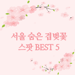 서울 숨은 겹벚꽃 스팟 best 5