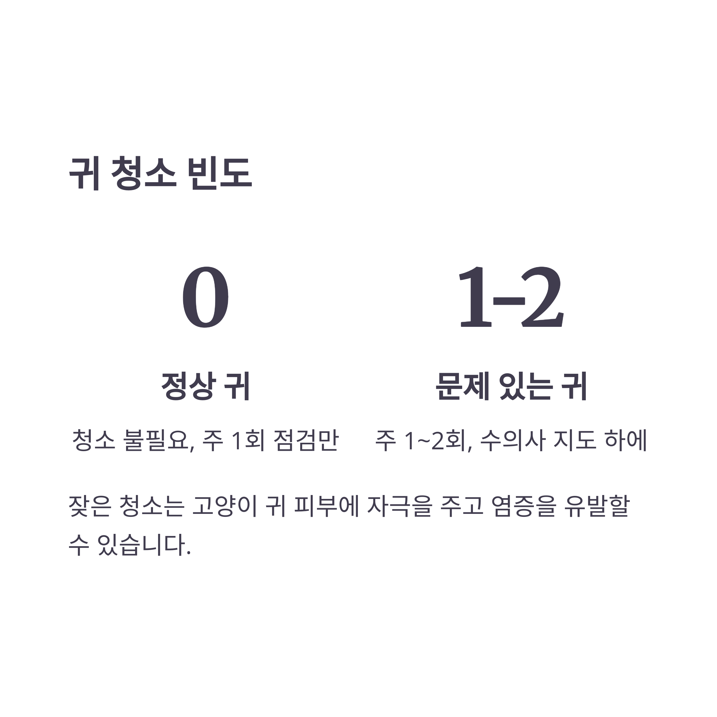 귀 청소 빈도