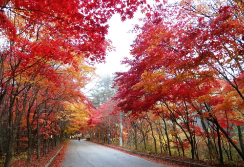 필례약수 사진