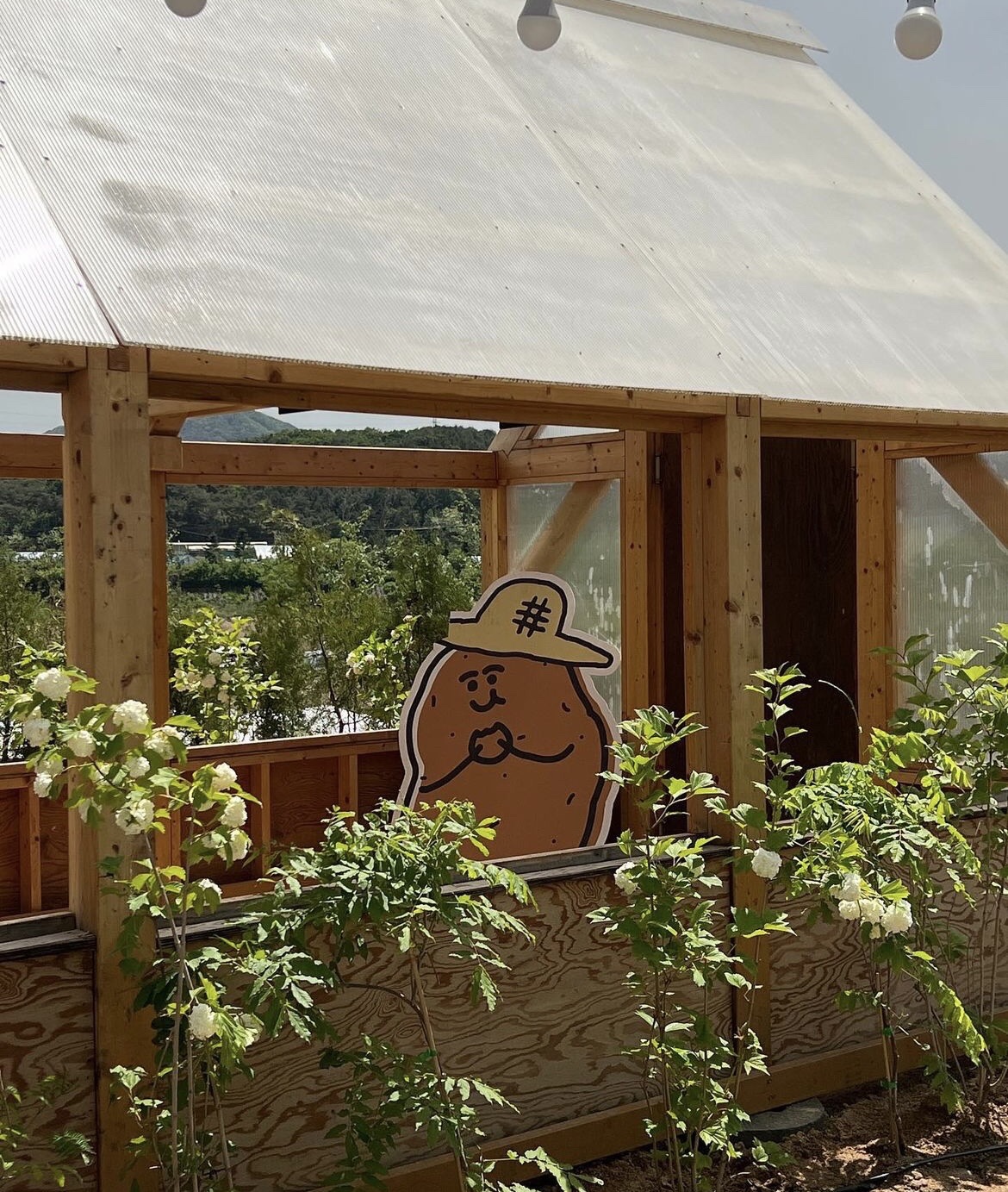 춘천 감자밭 감자빵