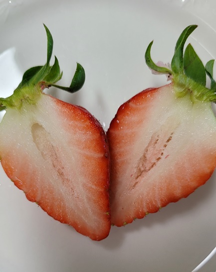 딸기단면