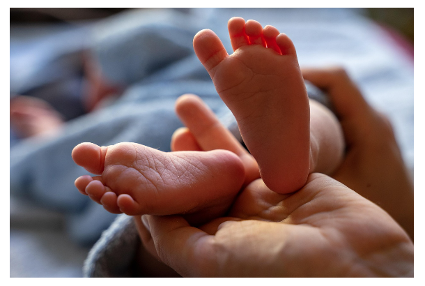 원더윅스 주차별 해설판