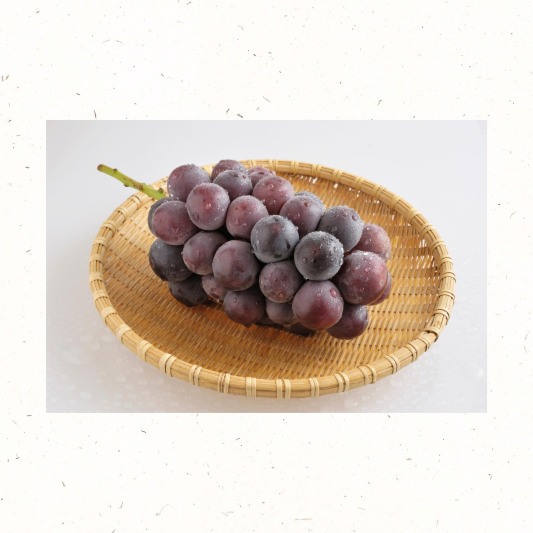 거봉 포도 알 굵기와 묵직한 송이 클로즈업