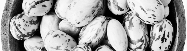 호랑이콩 키우기: pH 6.0 ~ 7.5 사이