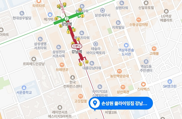 손상원-클라이밍짐-강남역점-위치