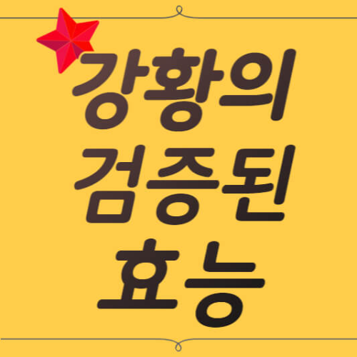 강황의효능 카레의효능 울금의효능 강황효과 카레효과 울금효과