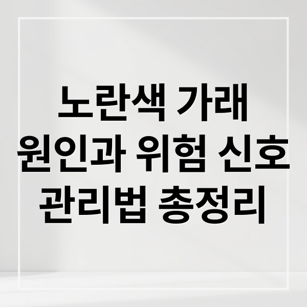 노란색 가래 관리