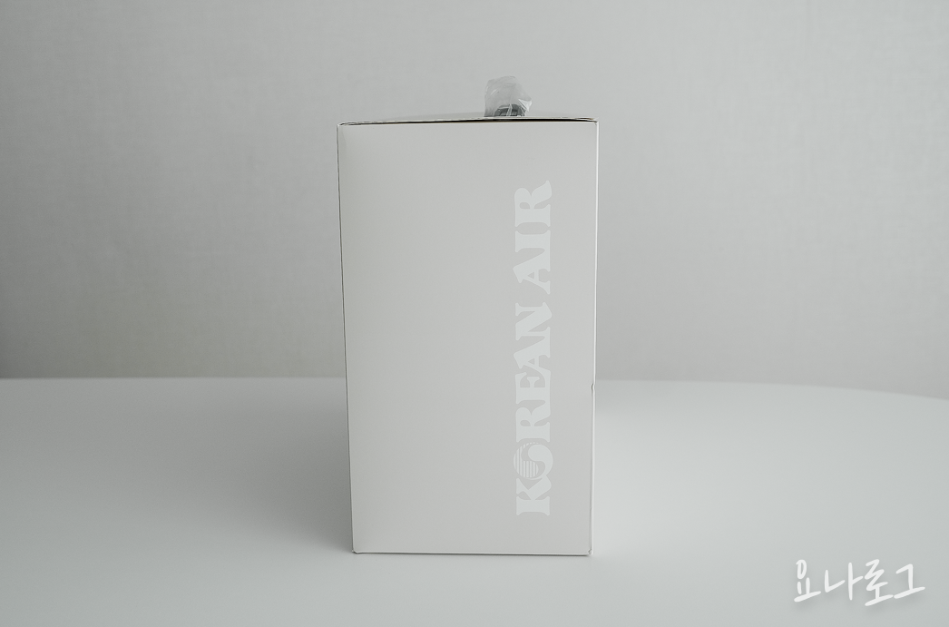 대한항공 대한항공마일리지 항공마일리지 마일리지 대한항공마일리지샵 KAL스토어 레디백 트래블레디백 대한항공레디백 여행준비 여행가방 여행가방추천 가방추천 캐리어 수트케이스 캐리어추천 에어랩 에어팟맥스 아이패드 맥북 레디백수납