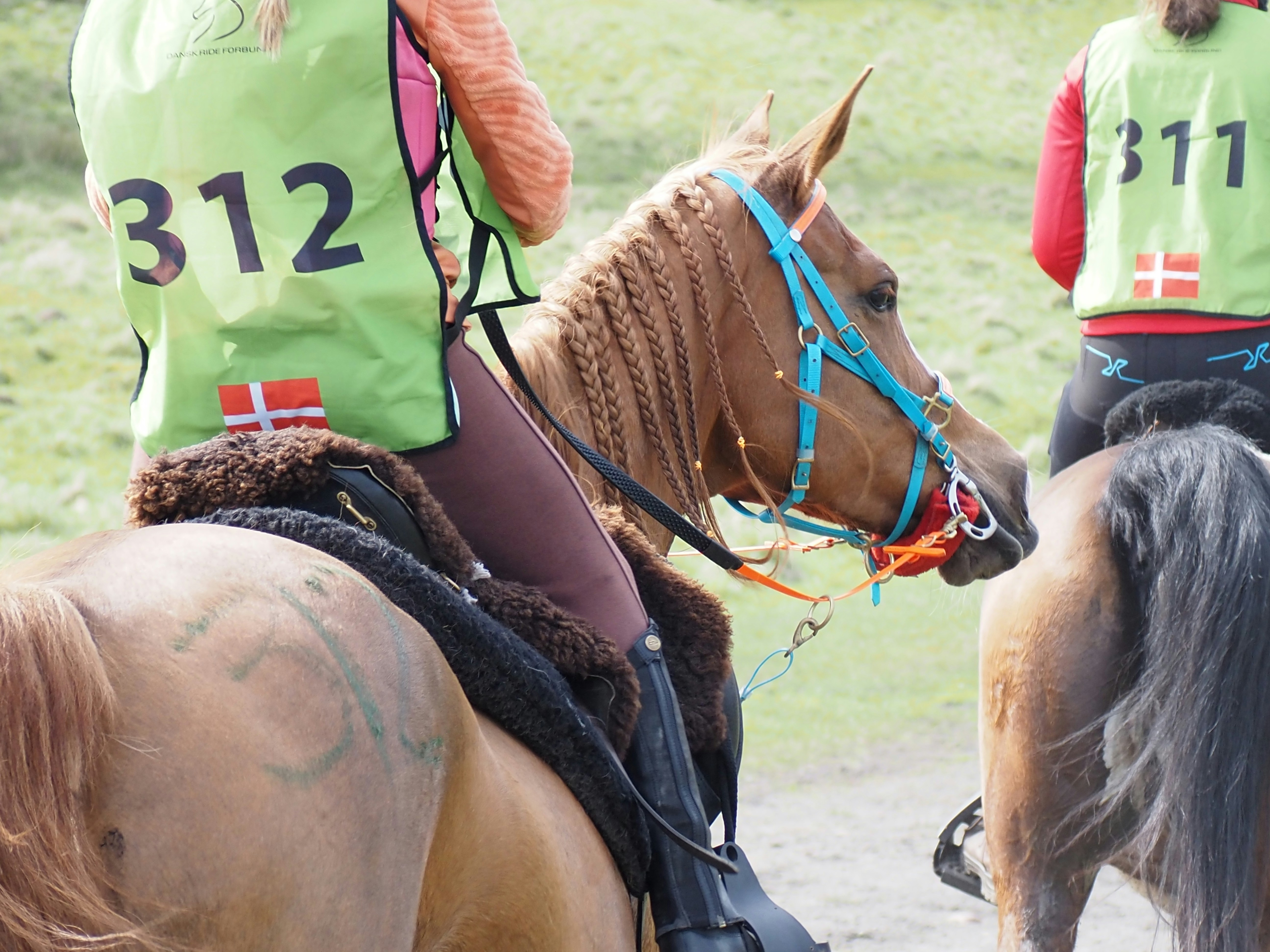 스포츠 베팅 해외 TOP10과 국내 업체 종목 특징 주의사항 알아보기