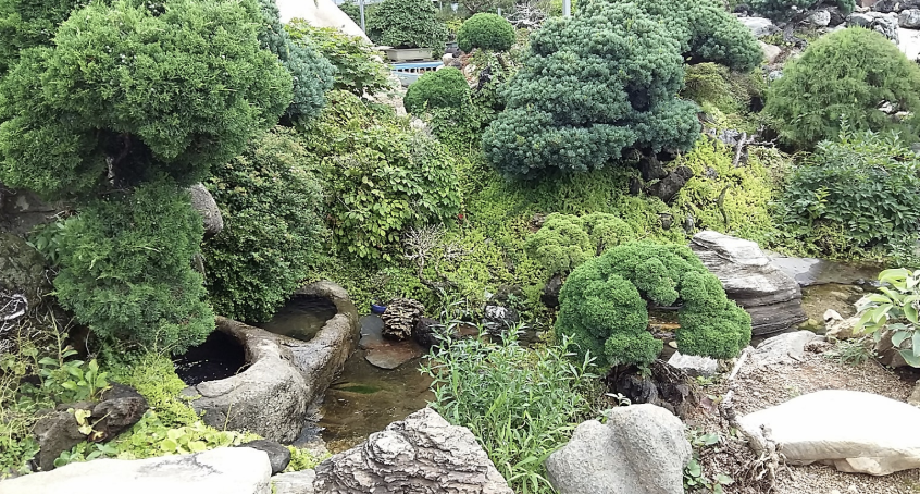 분재박물관 이미지