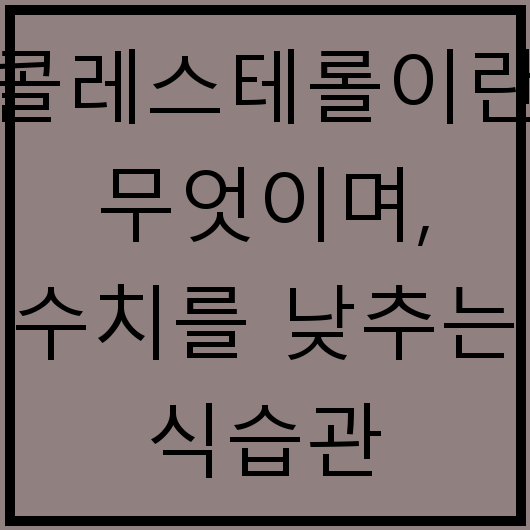 콜레스테롤이란 무엇이며, 수치를 낮추는 식습관
