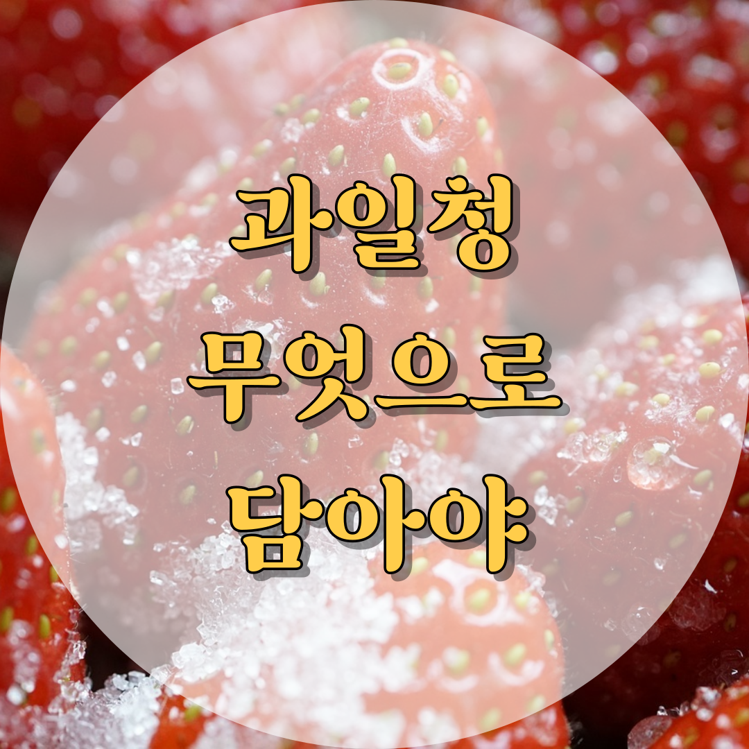 과일청 무엇으로 담아야 할까?