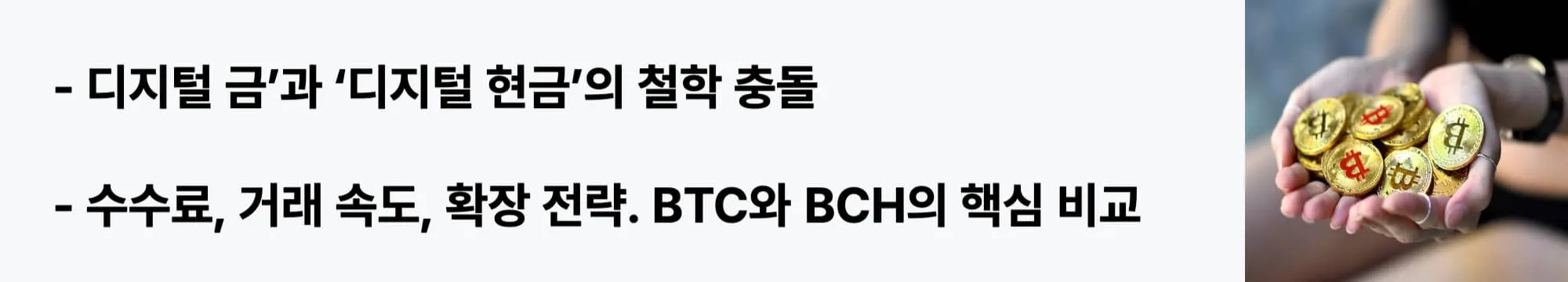 비트코인과 비트코인 캐시의 철학과 기술적 차이점을 비교한 웹배너 이미지. 수수료, 거래 속도, 확장 전략 등에서의 핵심 차이와 두 코인의 철학적 갈림길을 강조함 (btc vs bch differences)