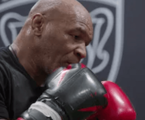 마이크-타이슨-제이크-폴