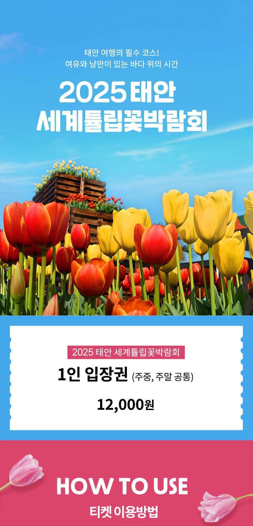 태안 튤립축제