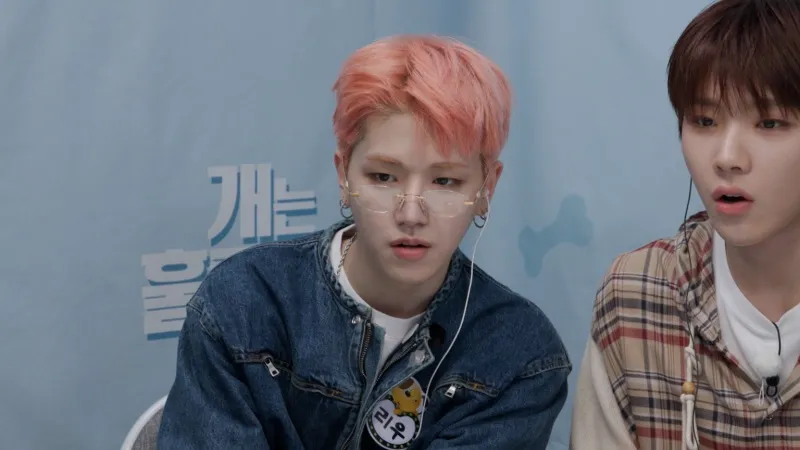 개는 훌륭하다 보넥도