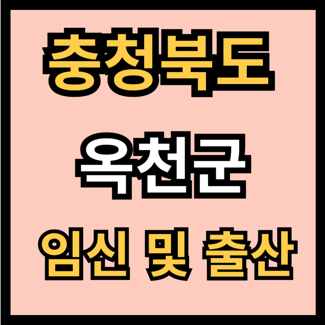 충청북도 옥천군 임신 출산 지원