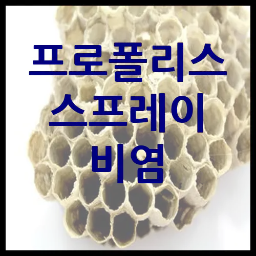 프로폴리스 스프레이 비염