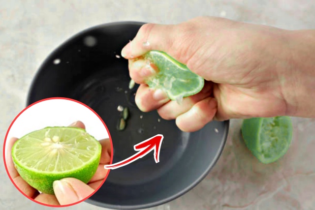 라임·레몬즙 짜는법, 레몬즙 짜는 기계, 요리, 연어, 샐러드, 레모네이드, 팁줌 매일꿀정보