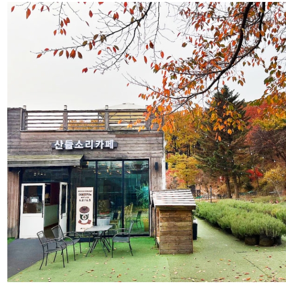 [서울 근교 여행지]산들소리 수목원 &amp; 낭만등불축제 후기