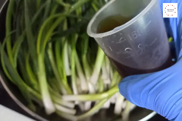 파김치-참치액과 까나리액젓 섞은 것 뿌리에 부어두기