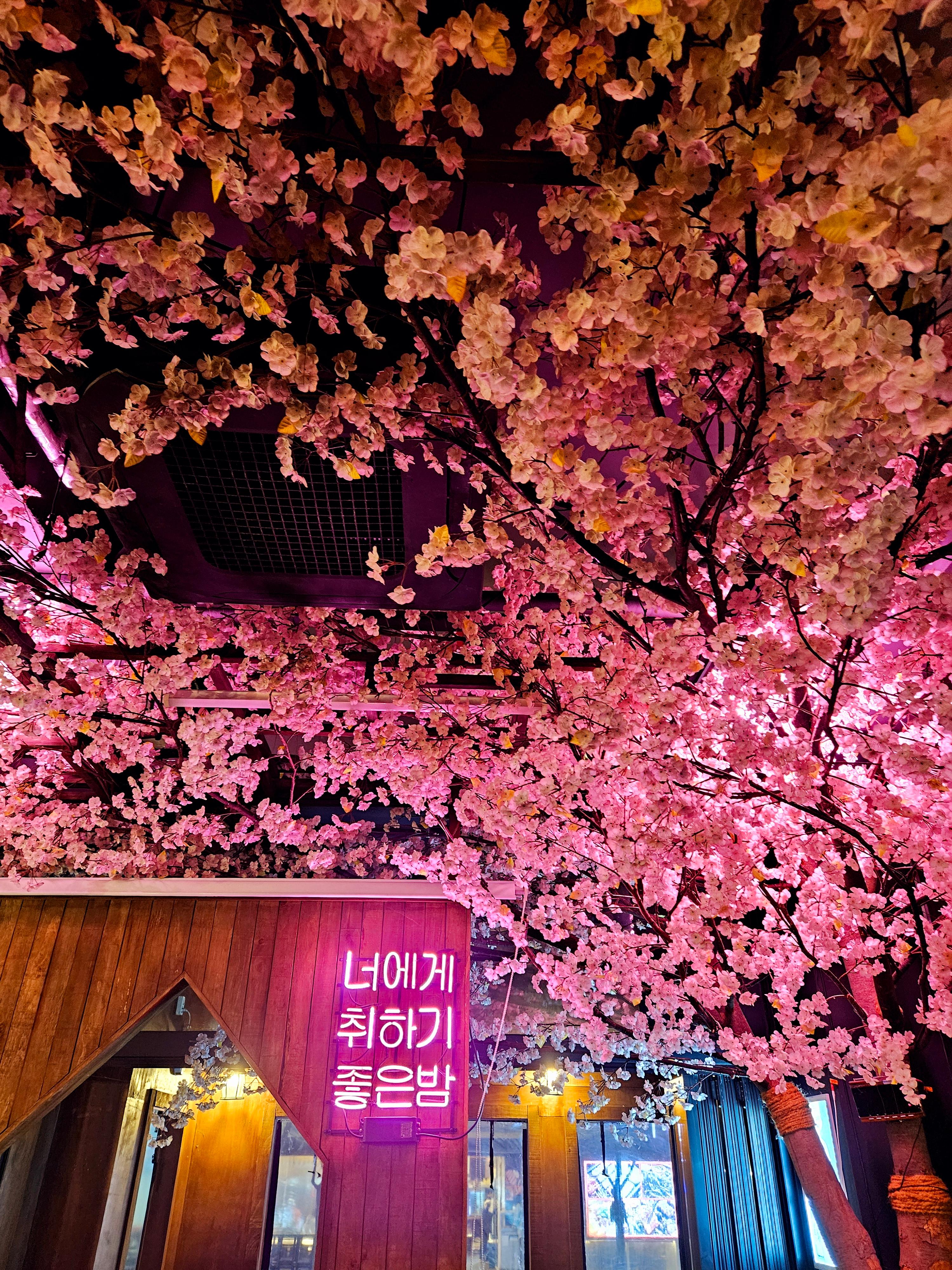 구월포차 내부사진