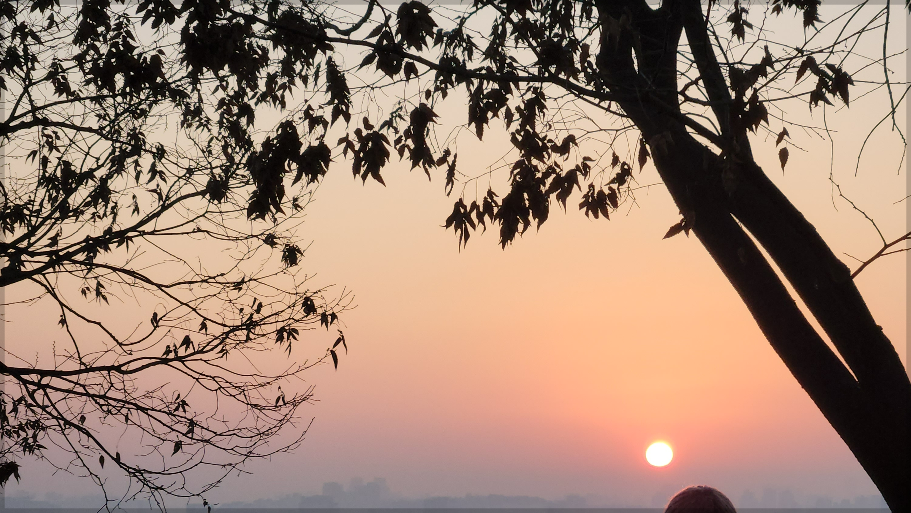 하늘공원 (마포) 새해 일출 해돋이 주차