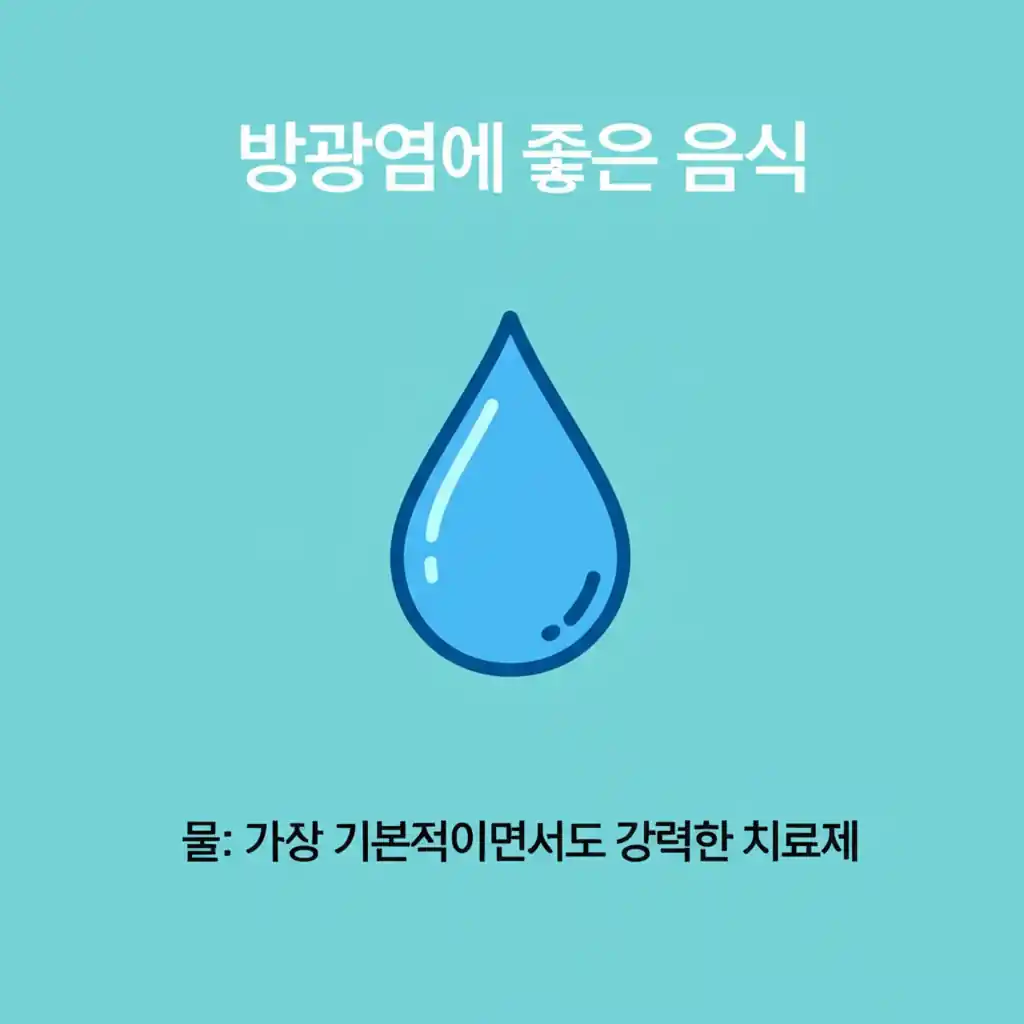 방광염에 좋은 음식, 물: 방광 건강을 위한 필수 수분 섭취의 중요성을 강조합니다.