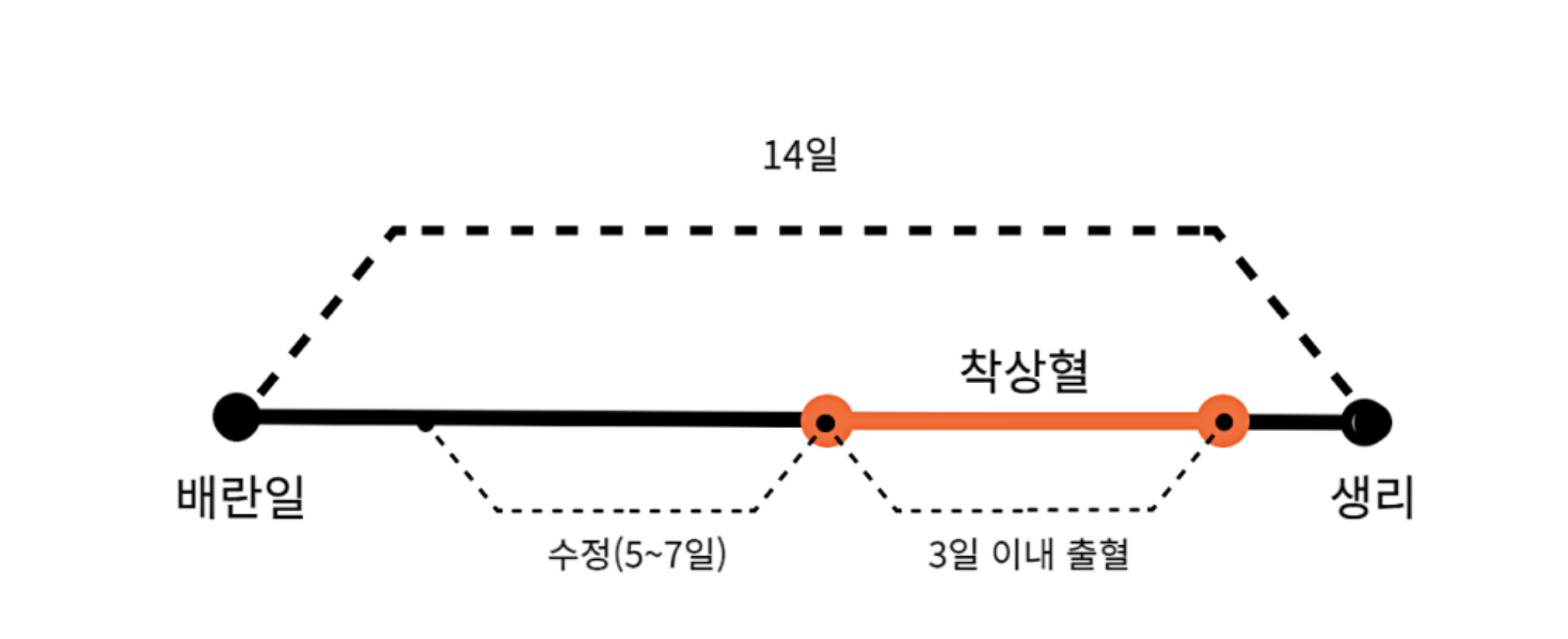 호르몬 변화와 착상혈