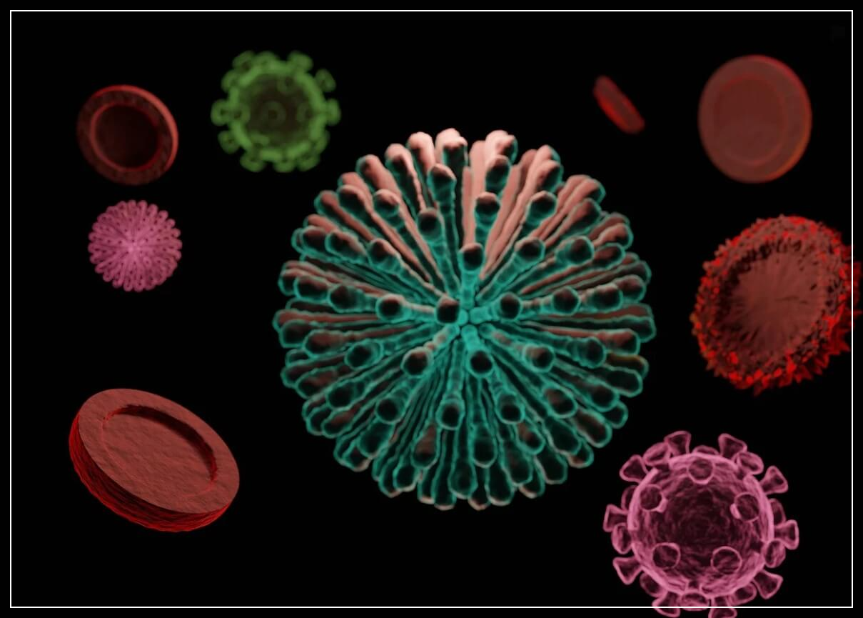 코엔자임 큐텐의 효능