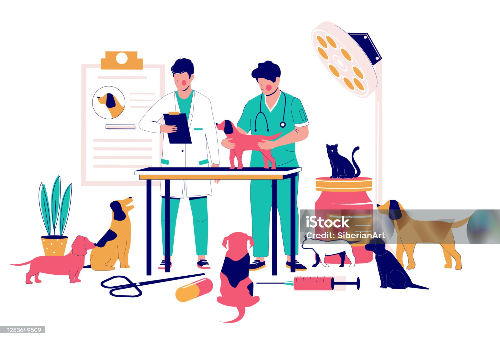 알트태그-동물병원에서 업무중인 동물보건사