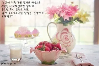 6월 인사말 예시 모음 카톡_22