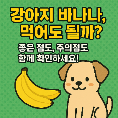 강아지 바나나, 먹여도 될까? 건강 간식으로 급여하는 올바른 방법