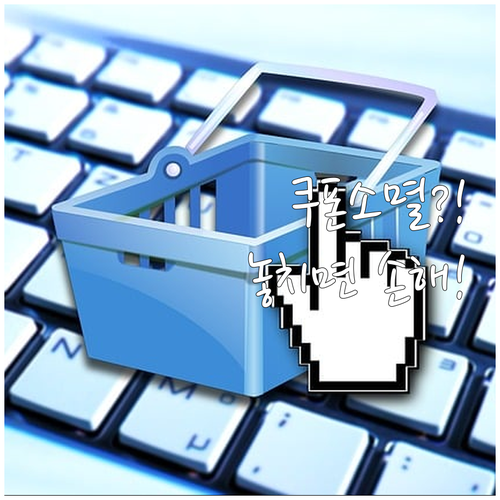 민생회복 소비쿠폰, 만료일 전 잔액 ..