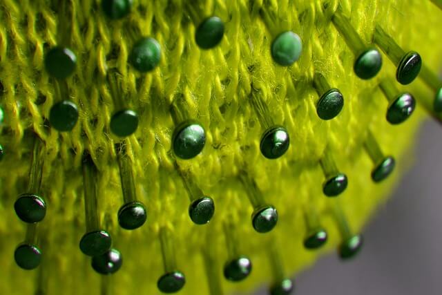 노로바이러스 원인 증상