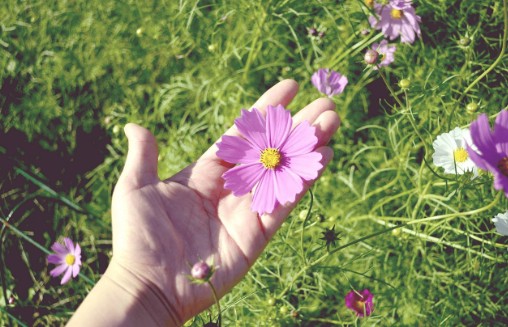 꽃을 들고 있는 손 감성사진