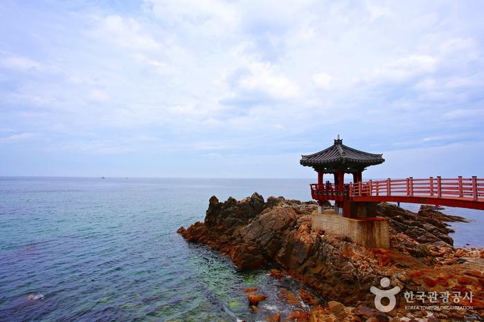 삼척 장호항 여름 여행 가이드