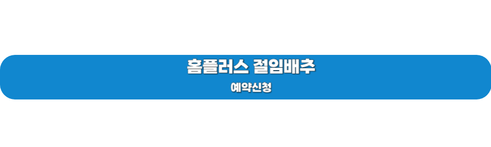 김장철 절임배추