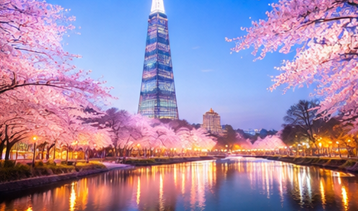 2026 벚꽃 개화시기 서울