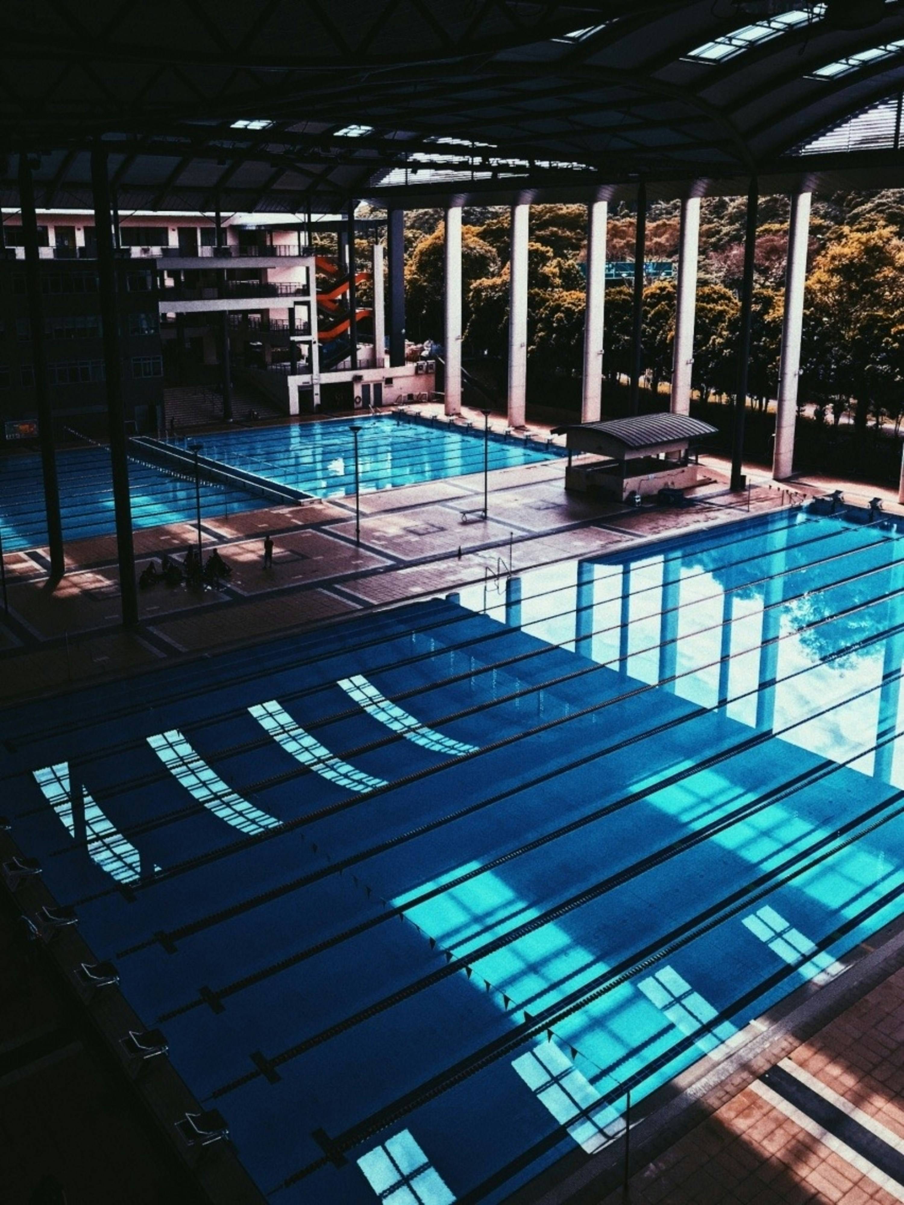 대한민국 문화 예시 이미지