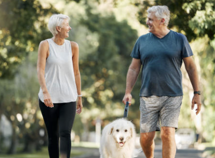 하지정맥류 증상 수술비용 좋은운동 등 총정리(2024 최신)