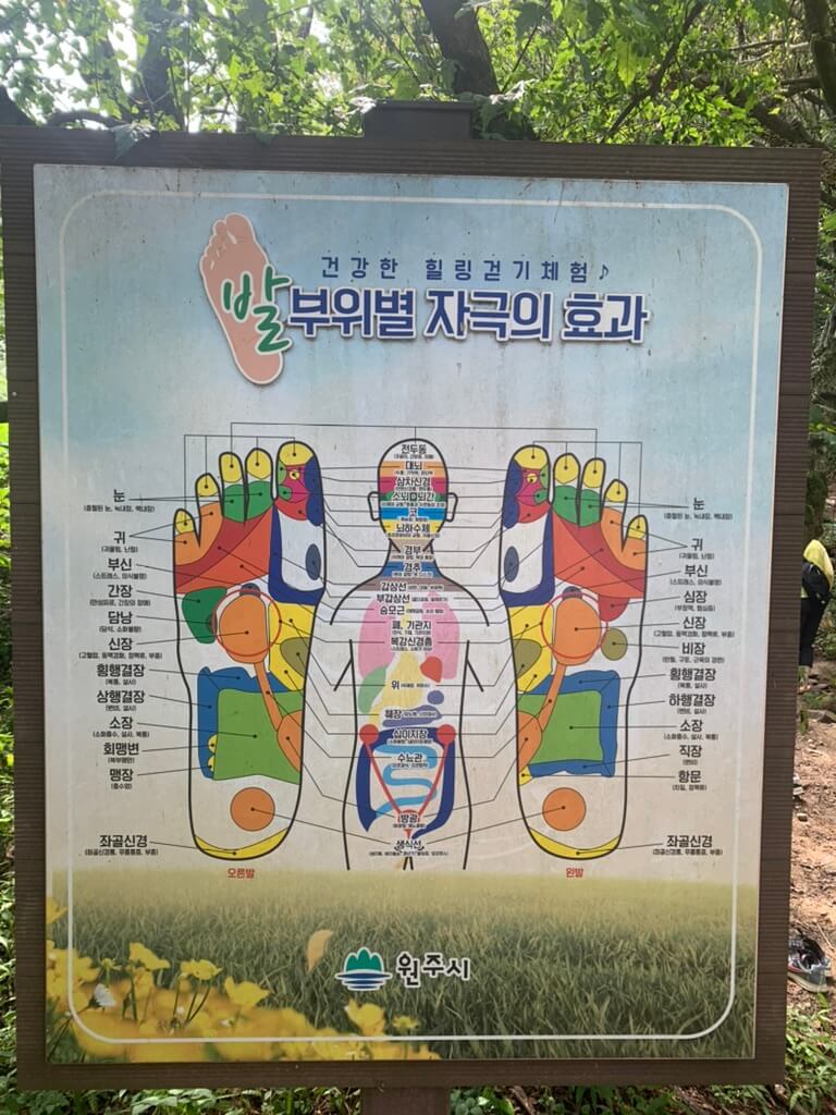 맨발산책 효능 &#44; 효과