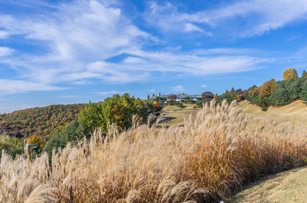지산 CC