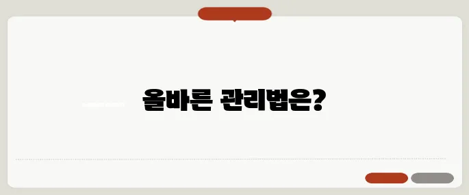 잇몸이 붓고 아플때 대처법 칫솔질과 염증 관리가 핵심