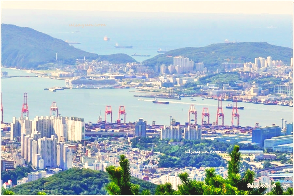 부산 북항