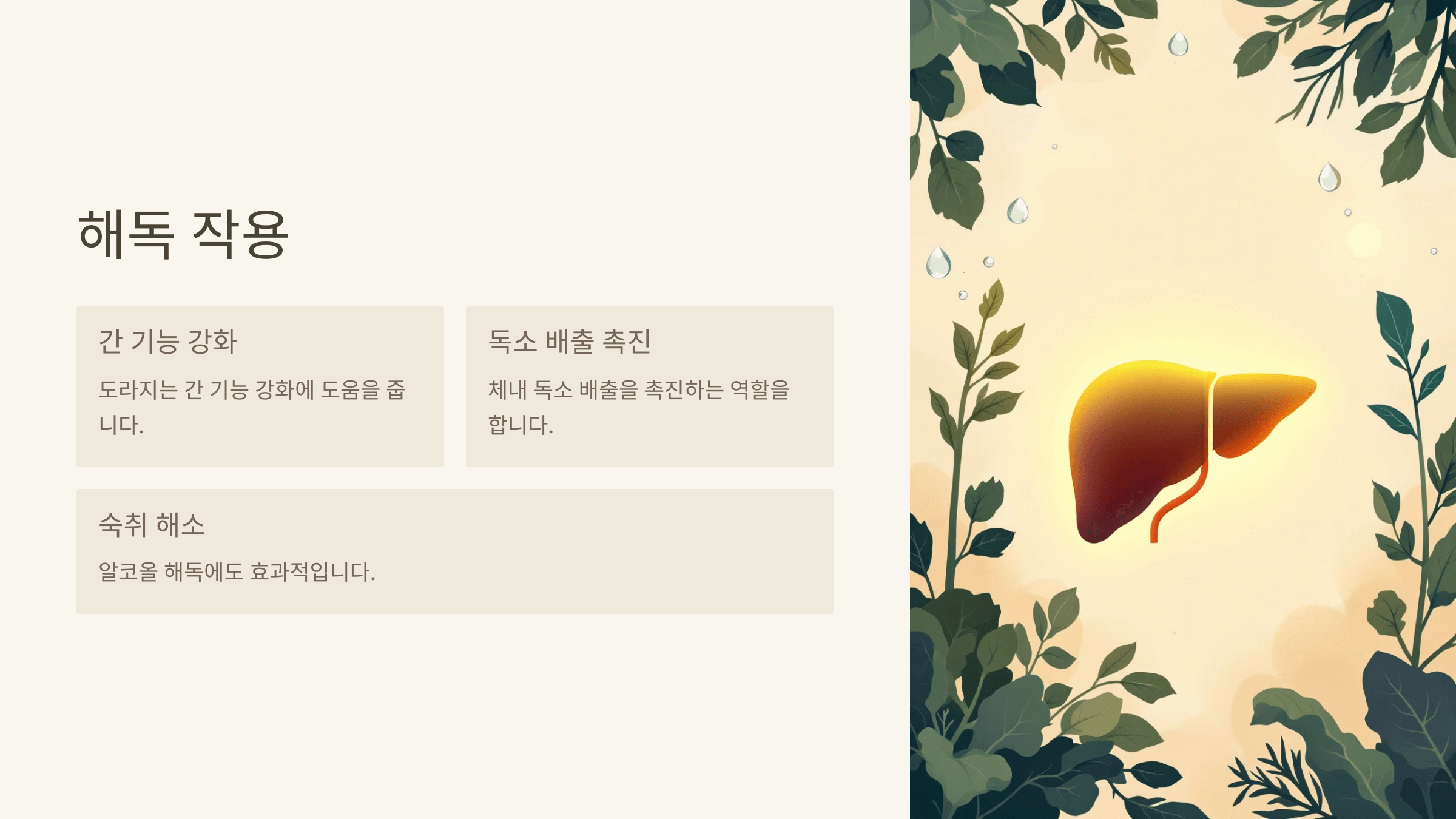 도라지 사진입니다.