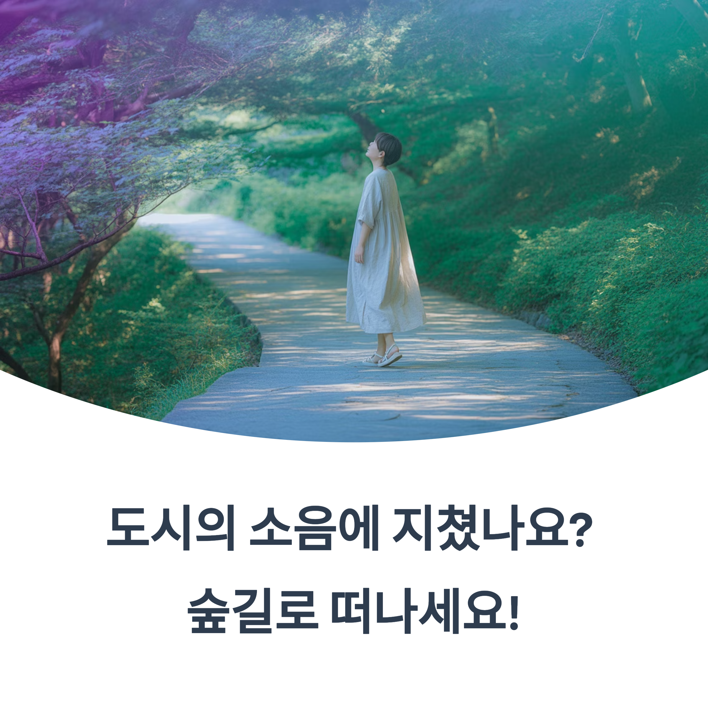 조용히 쉬기 좋은 산속 숲길 여행지